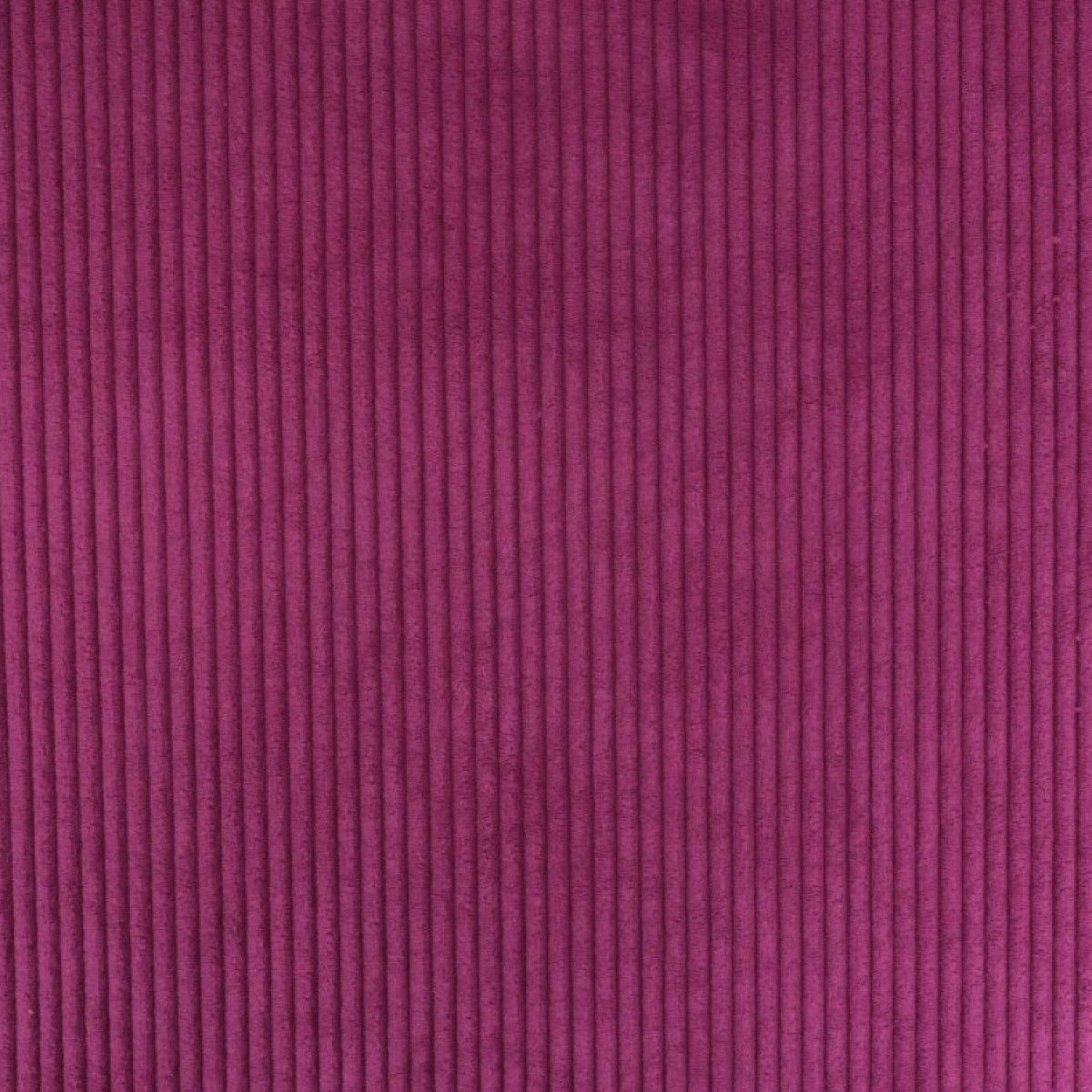 CARNET DE SANTÉ